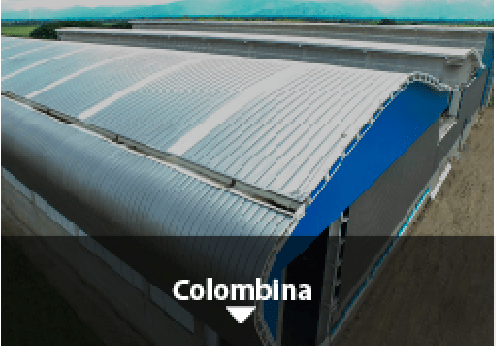 solución cubiertas de Exiplast en deposito de Colombina