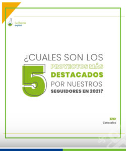 proyectos destacados del año