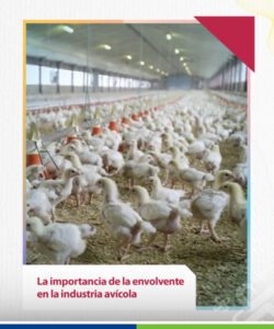 industria avícola